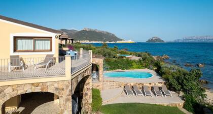 VILLA MIMOSA - Villa Mimosa