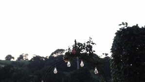 Un sendero en un jardín conduce a una entrada arqueada con luces colgantes y un arreglo floral.