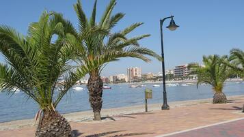 Playa en los alrededores y camastros