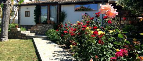 المنطقة المحيطة بالمنشأة