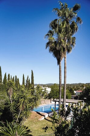 Una piscina rodeada de palmeras y cipreses, bajo un cielo azul despejado.