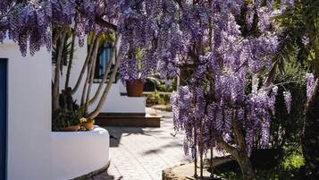 Terrein van de accommodatie