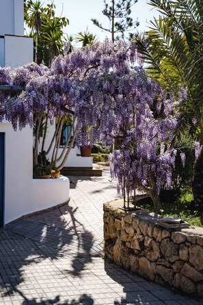 Un camino conduce a un edificio de fachada blanca, una pared de piedra y enredaderas con flores moradas.