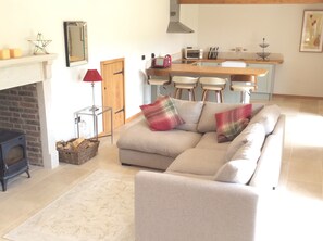 TV, fireplace, DVD player, books