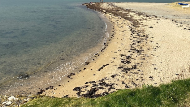 Une plage à l’eau claire, avec un rivage sablonneux et des collines qui se dessinent à l’horizon.