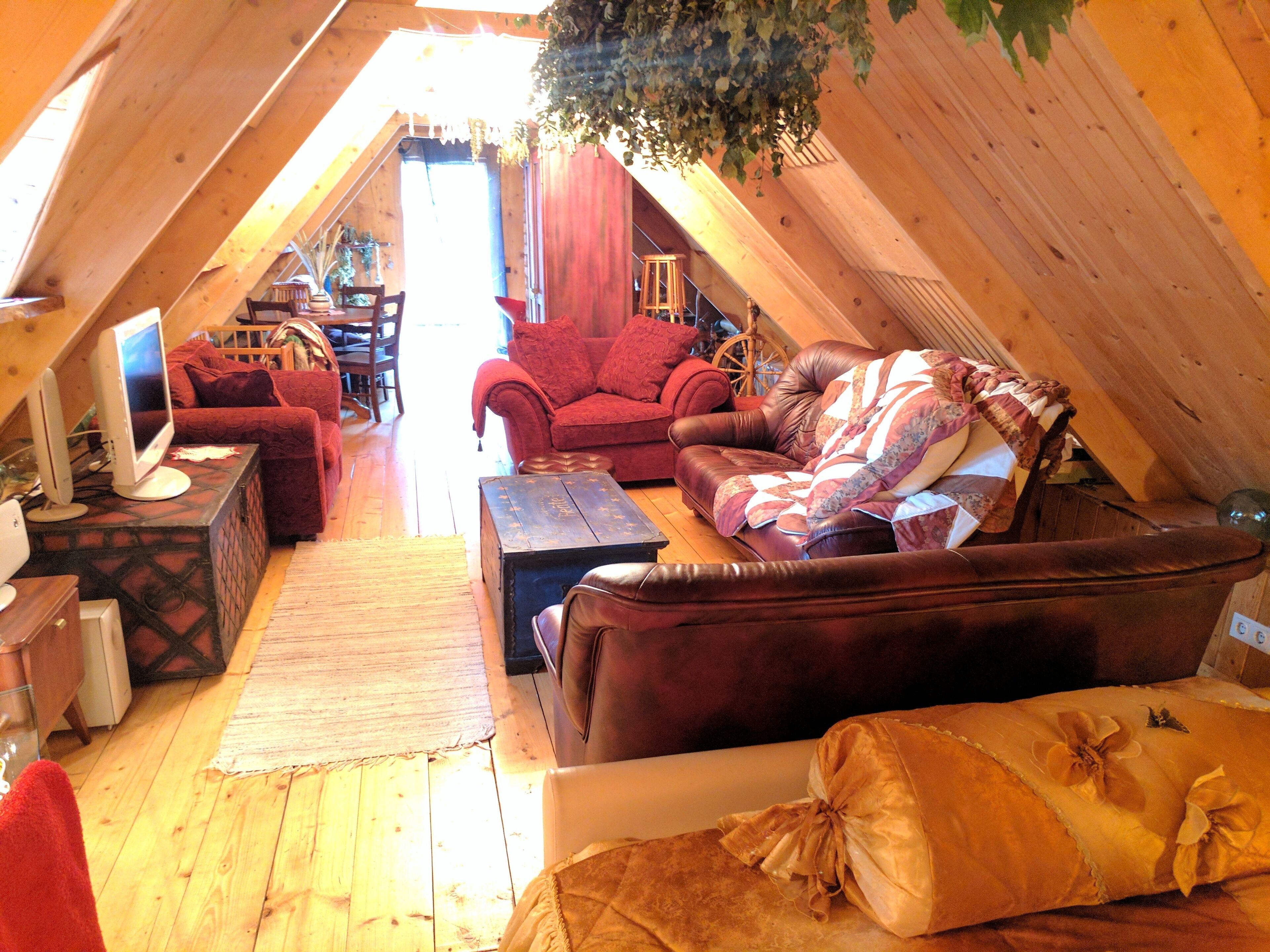 電視、壁爐、書籍