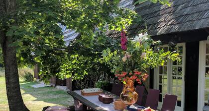 "Branki" & "Stūrīši"