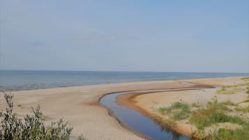 Una spiaggia nelle vicinanze, lettini da mare