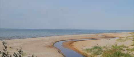 Beach nearby, sun loungers