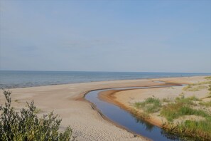 在海灘附近、躺椅