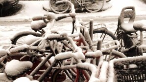 A pile of bicycles covered in snow, parked near a body of water. - Lovely spacious, luxurious apartment with canal view (Amsterdam)