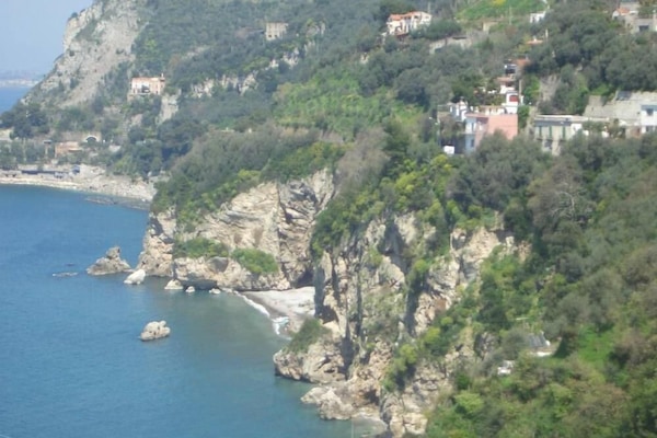 Overview