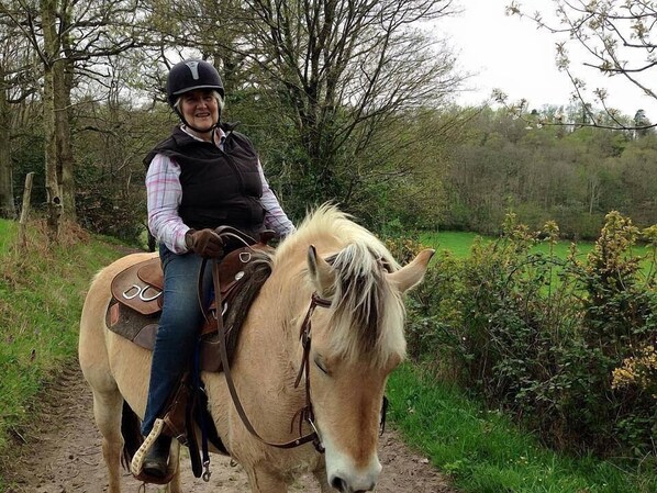 Une personne à cheval, sur un chemin de terre bordé d’arbres et de verdure.