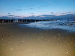 A beach with a wooden pier extending into the water. - Chalet Zonnebloem for 6 people, lots of privacy in a quiet park (Serooskerke (W))