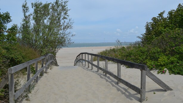 A sandy beach path with wooden railings leading to the sea. - Chalet Zonnebloem for 6 people, lots of privacy in a quiet park (Serooskerke (W))