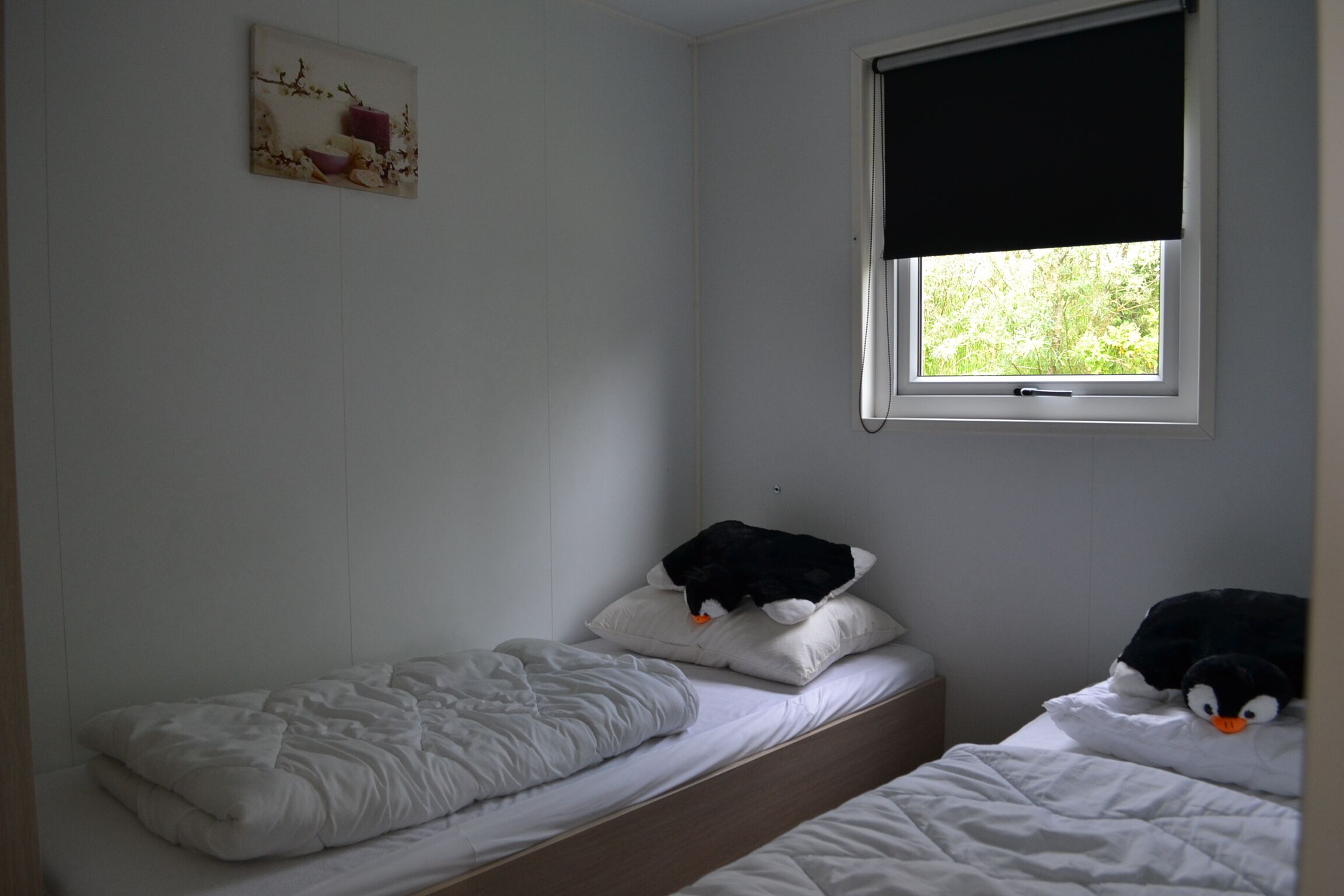 Un dormitorio pequeño de una sola habitación con dos camas, una ventana con cortina y un cuadro colgado en la pared.