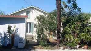 Une maison avec une piscine, entourée de différentes plantes et arbres.
