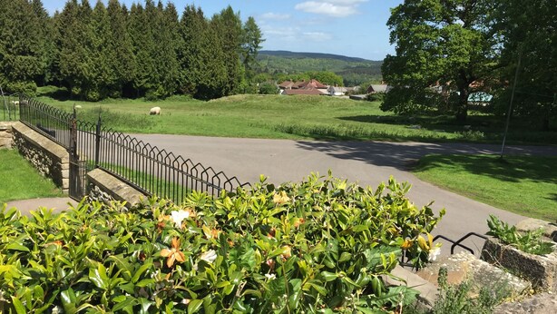A rural landscape with a paved road, a stone wall, and a metal fence. - 🌿 Peaceful & Cosy Cottage Stay in the Forest of Dean 🌳🐑 (Lydney)