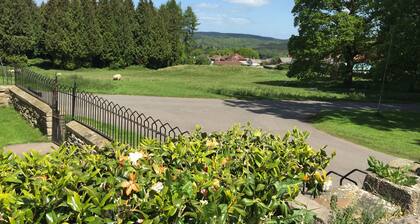 🌿 Peaceful & Cosy Cottage Stay in the Forest of Dean 🌳🐑