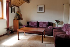 TV, DVD player, books, music library