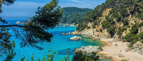 Playa en los alrededores