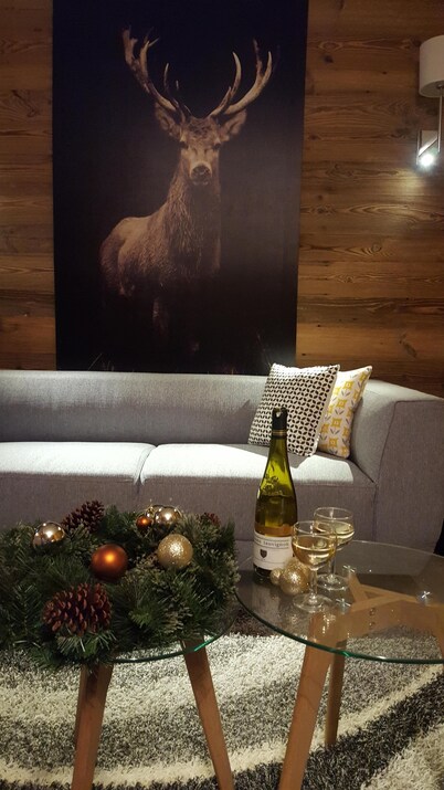 Beautiful ground floor ski in /out apartment. 2 mins from lift