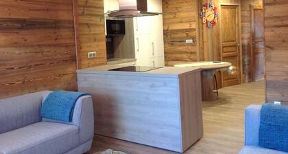 Beautiful ground floor ski in /out apartment. 2 mins from lift