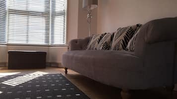 TV, fireplace, DVD player, books