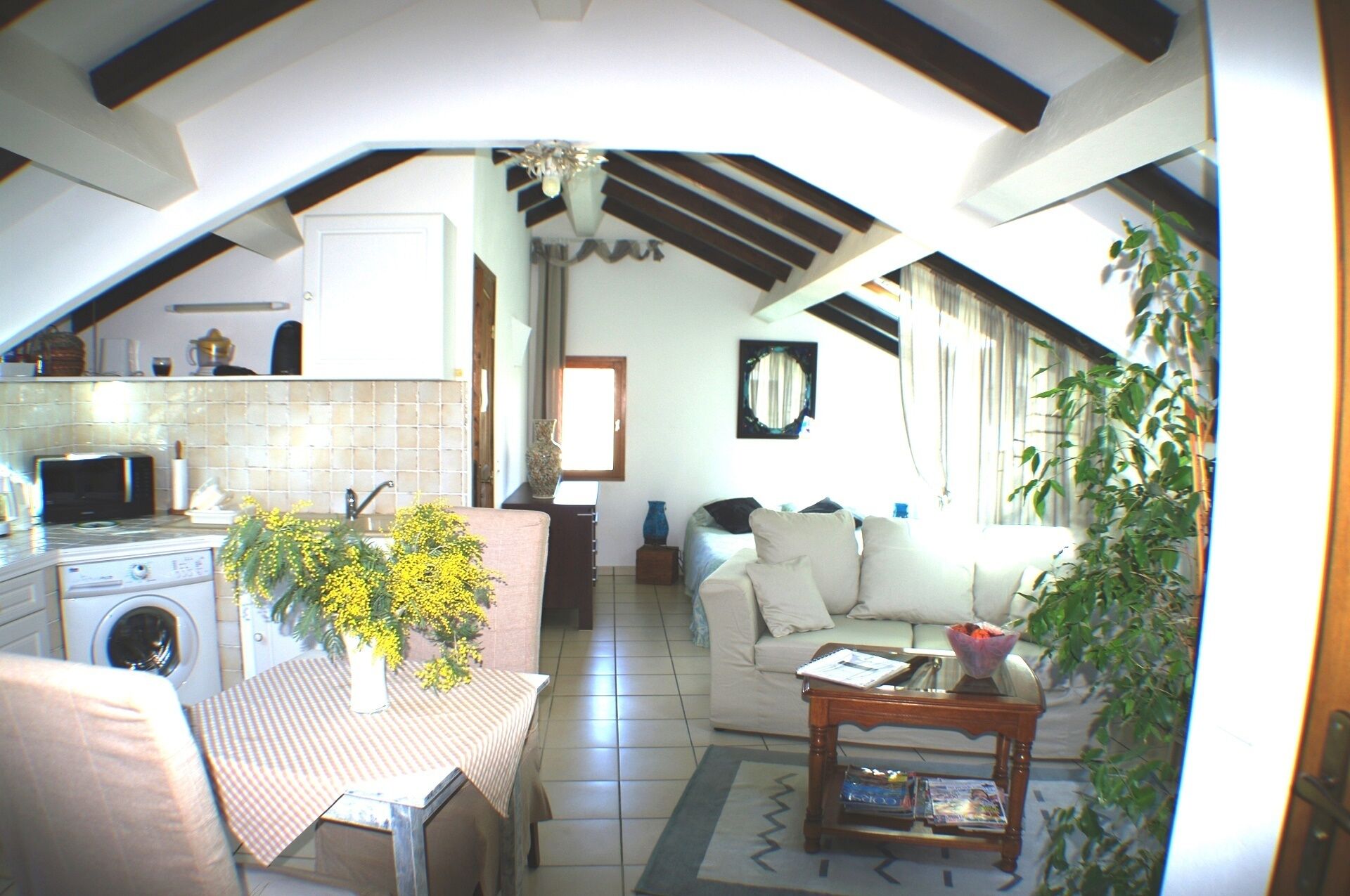 电视、DVD 播放器、书、立体声音响