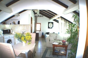 Télévision, lecteur de DVD, livres, chaßne hi-fi