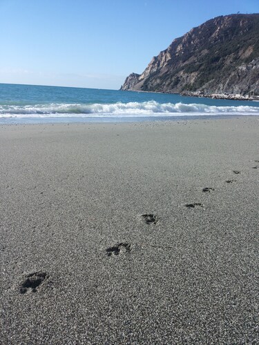 CENTRALLY quiet and typical residence -150 mt. from the sea