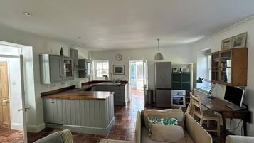 Smart TV, fireplace, video games, DVD player