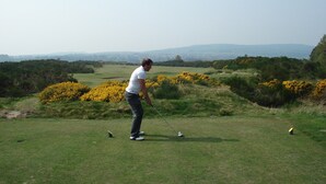 A golf course with a clear view of the landscape, including distant hills and scattered yellow flowers. - Former Lodge House to Swordale Castle (Evanton)