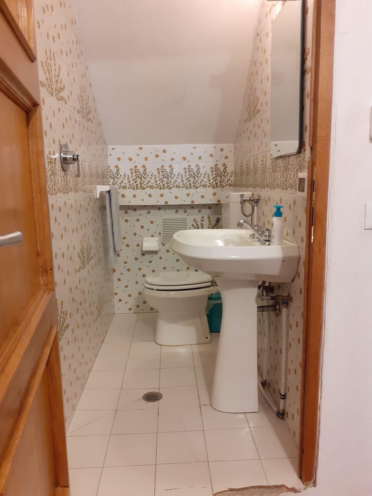 Een kleine badkamer met toilet, wastafel en douche.