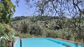Piscina retangular com corrimãos de metal, cercada por um deck de madeira e degraus de pedra que descem até a piscina.