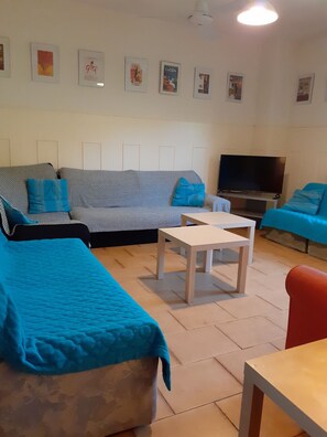 Smart TV, fireplace, DVD player, books