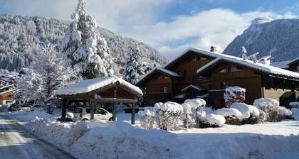 3-star apartment in central Morzine