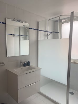Combined shower/tub, hair dryer, bidet, towels