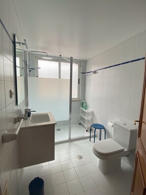 Combined shower/bathtub, hair dryer, bidet, towels - Large penthouse 160m2, quiet with sea view, in the tourist area Funchal (Funchal)