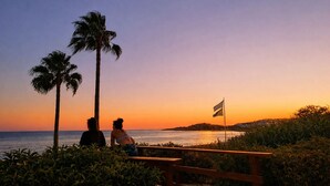 A sunset view with palm trees and a flag on a coastal promenade.