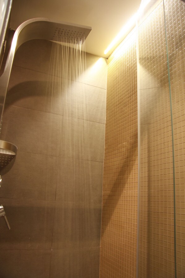 Shower, hair dryer, bidet, towels