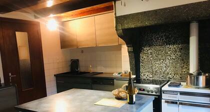 SPACIOUS GITE 15 PERS. IN NATURE WITH SAUNA AND OUTDOOR SPA