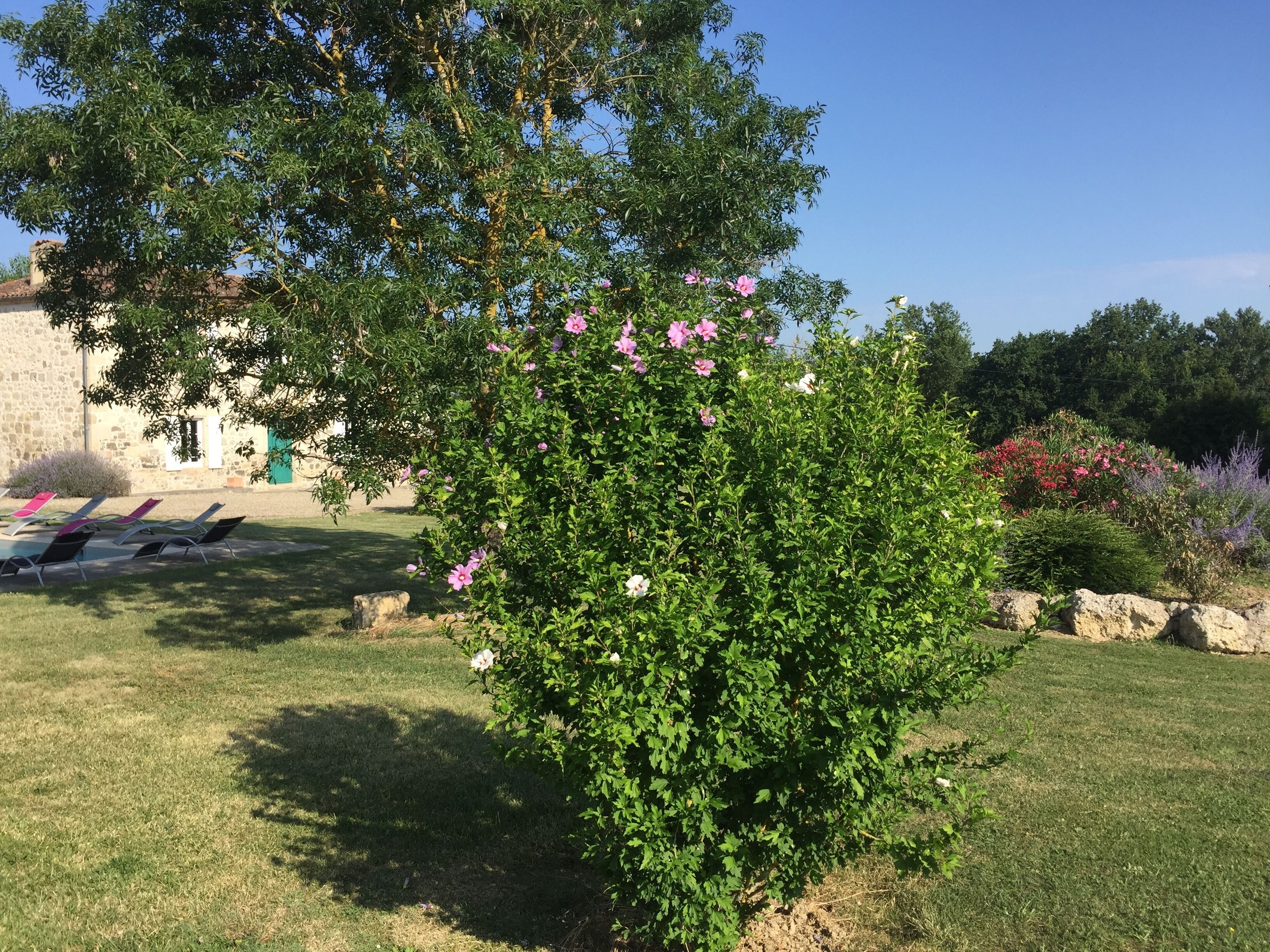 A garden with a variety of flowering bushes and a stone building in the background.