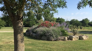 Un jardín ajardinado con un árbol, arbustos diversos y flores.