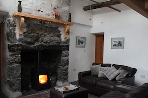 Smart TV, chimenea, Netflix y reproductor de DVD 