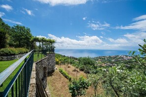 Property grounds - Villa Turtle with sea view and  private pool (Massa Lubrense)