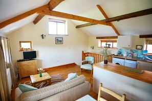 تلفزيون ذكي، مشغل دي في دي، ستيريو