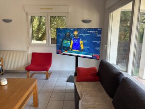 電視、DVD 播放機、書籍、音樂庫