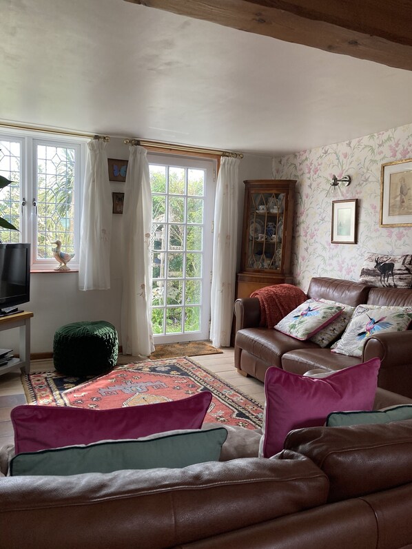 Smart TV, fireplace, DVD player, books