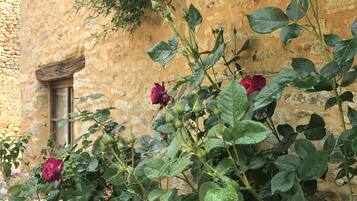 DĂ©tail de lâextĂ©rieur